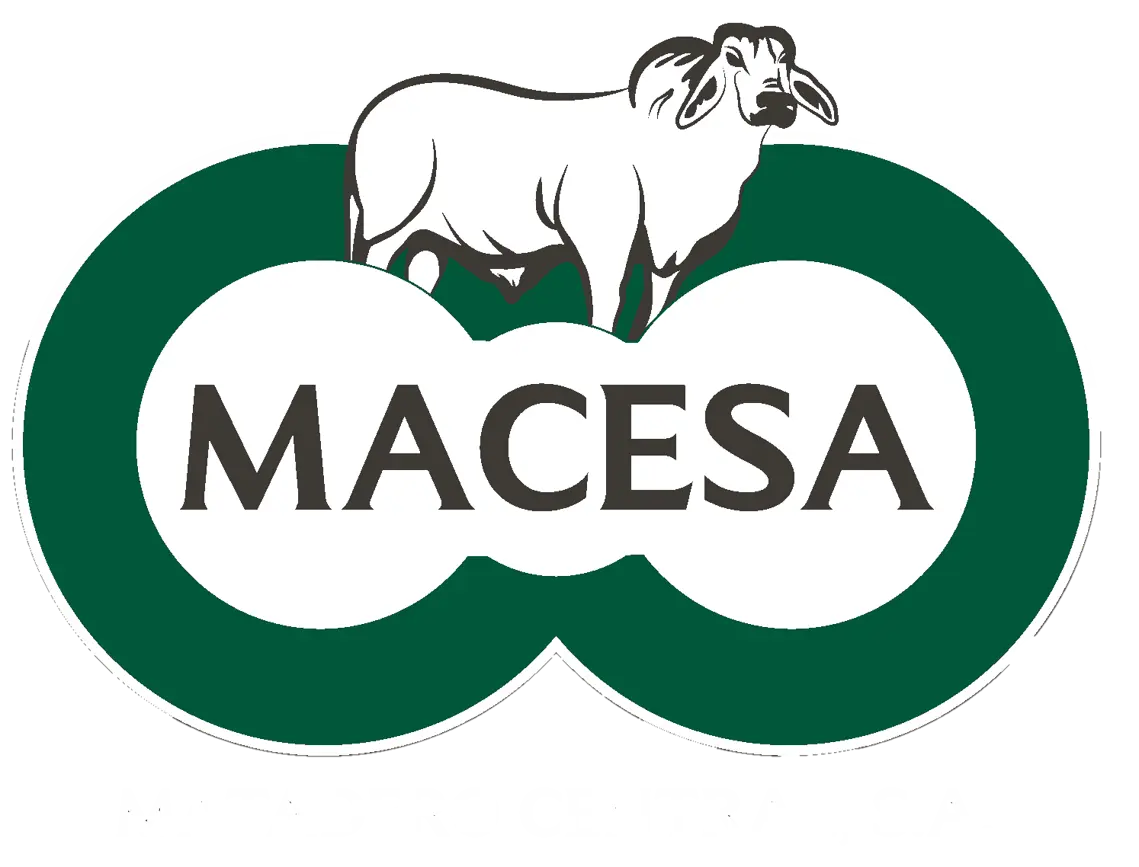 Matadero Central S.A
